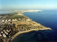 arial view